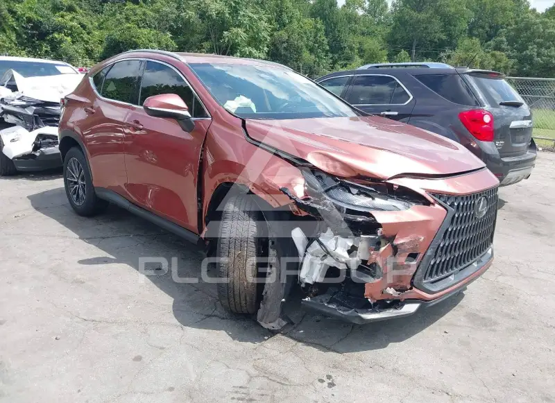 2025 Lexus NX250 фото