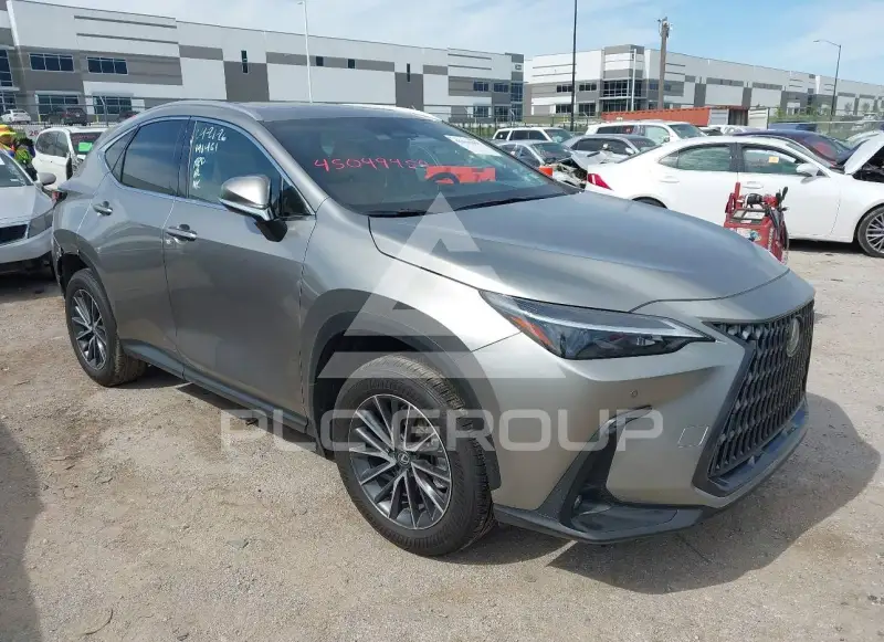 2025 Lexus NX250 фото