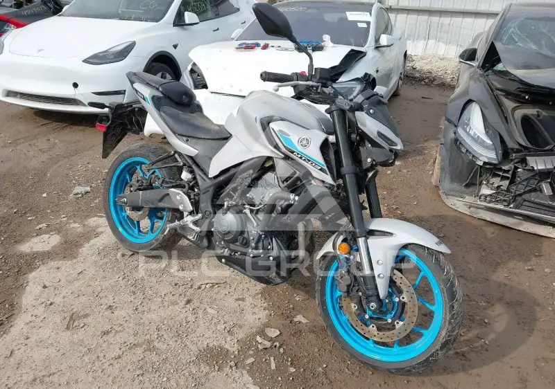 2025 Yamaha  фото