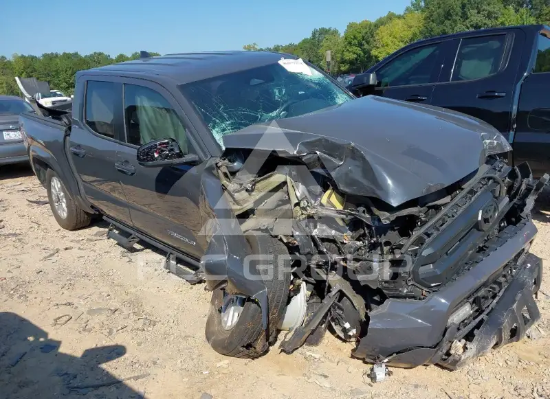 2025 Toyota TACOMA photo