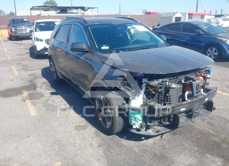 2025 KIA Niro фото