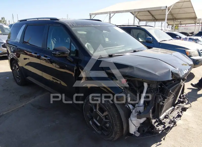 2025 KIA Carnival photo