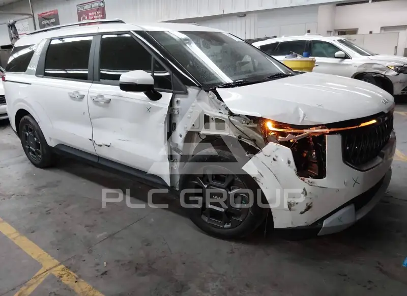 2025 KIA Carnival photo