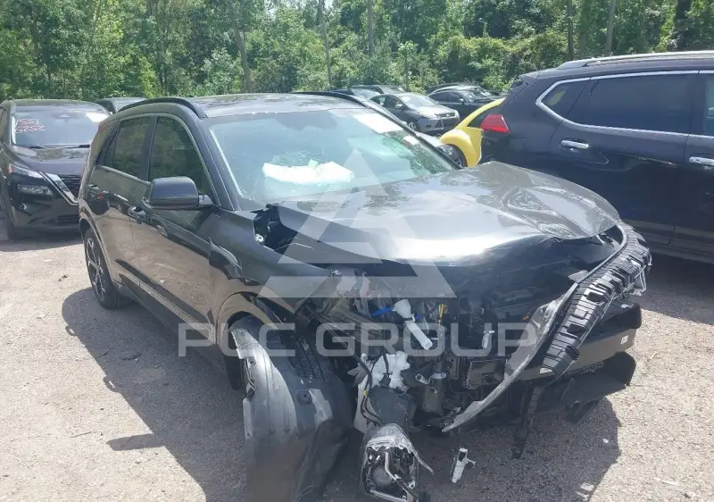 2025 KIA Niro photo