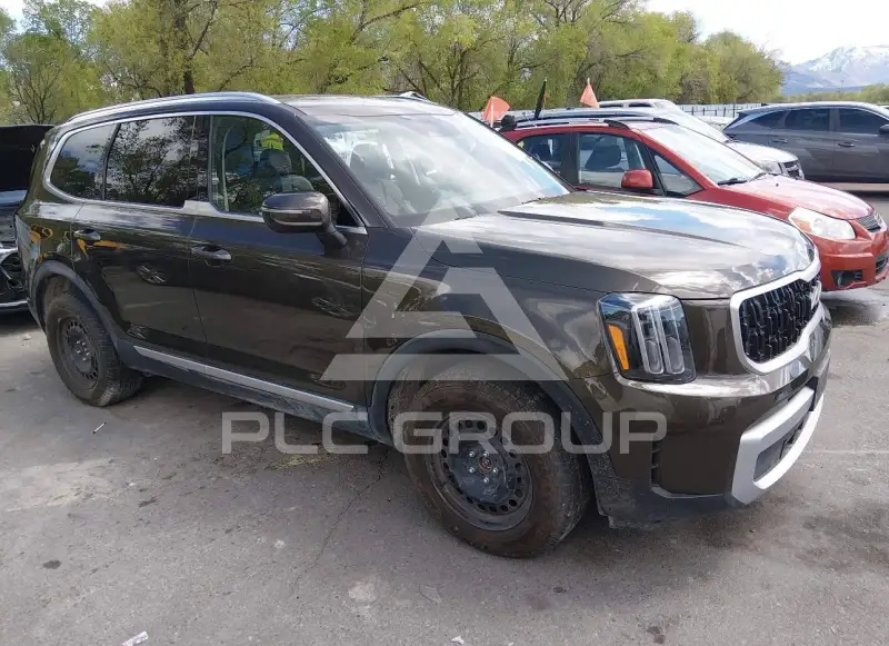 2025 KIA Telluride VIN: 5XYP3DGC0SG637464 из США - PLC Group