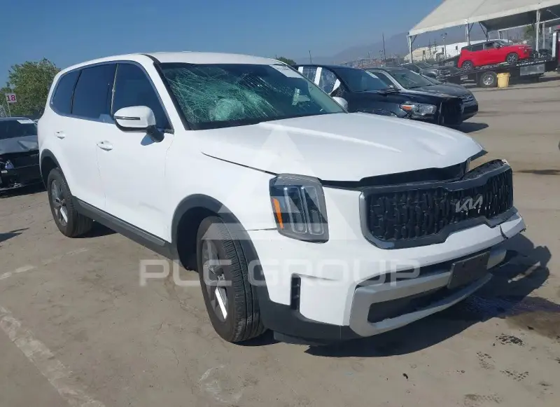 2025 KIA Telluride photo