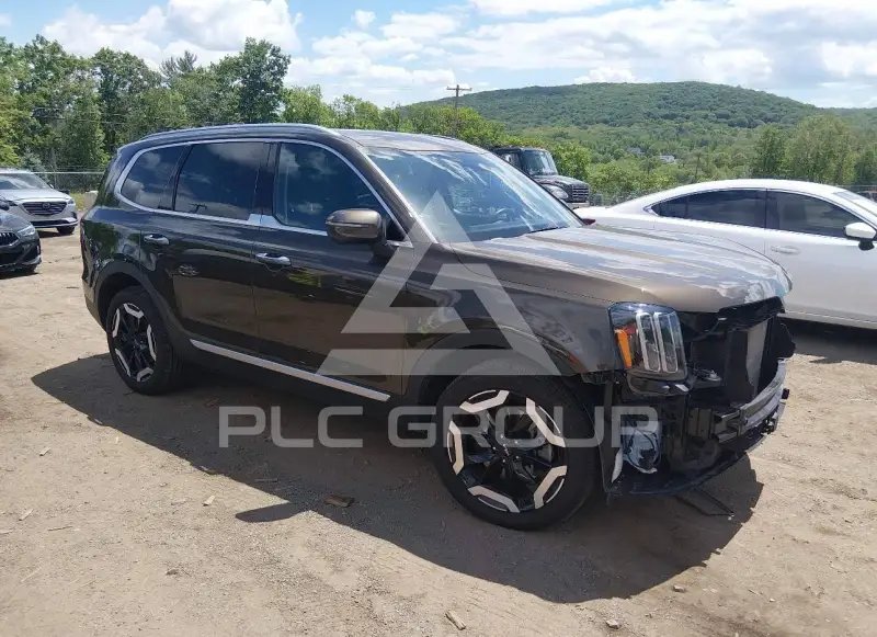 2025 KIA Telluride photo