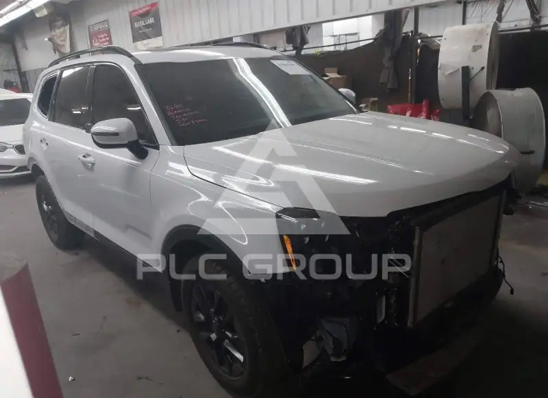 2025 KIA Telluride photo