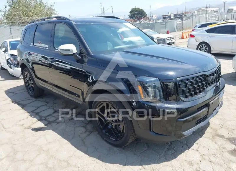 2025 KIA Telluride photo