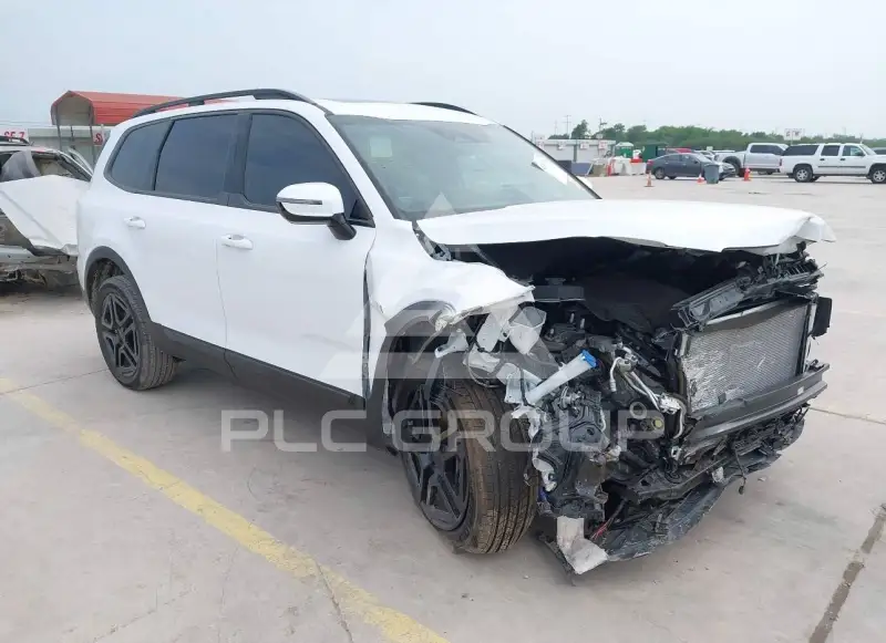 2025 KIA Telluride photo