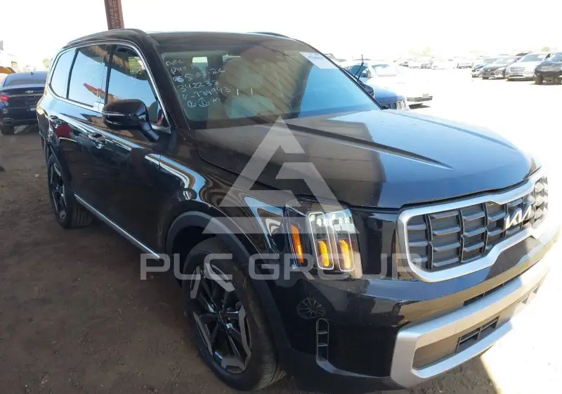 2025 KIA Telluride photo