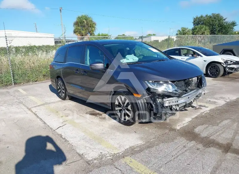 2026 Honda ODYSSEY photo