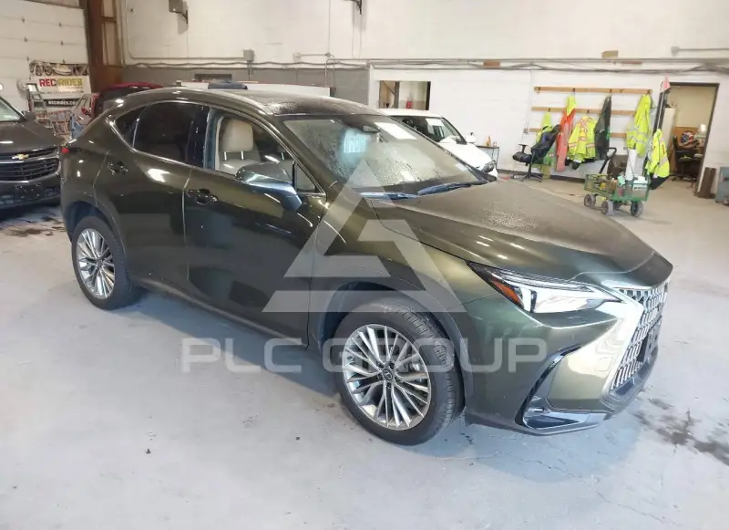 2026 Lexus NX250 фото