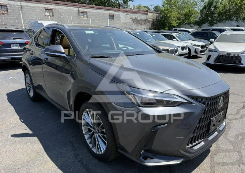 2026 Lexus NX250 photo