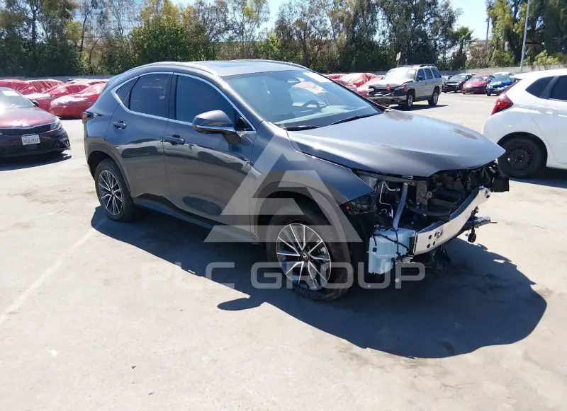 2026 Lexus NX250 photo