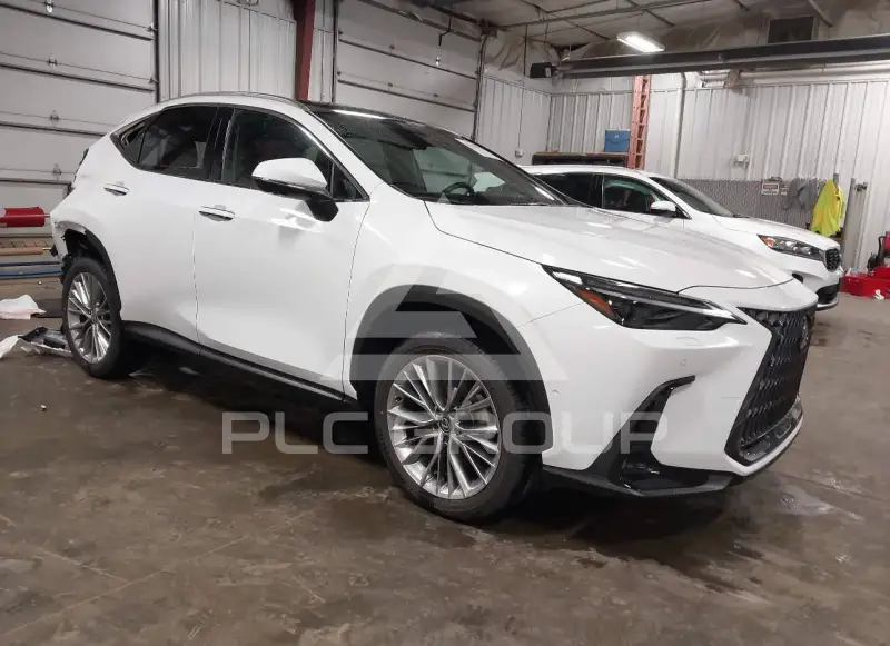 2026 Lexus NX250 фото