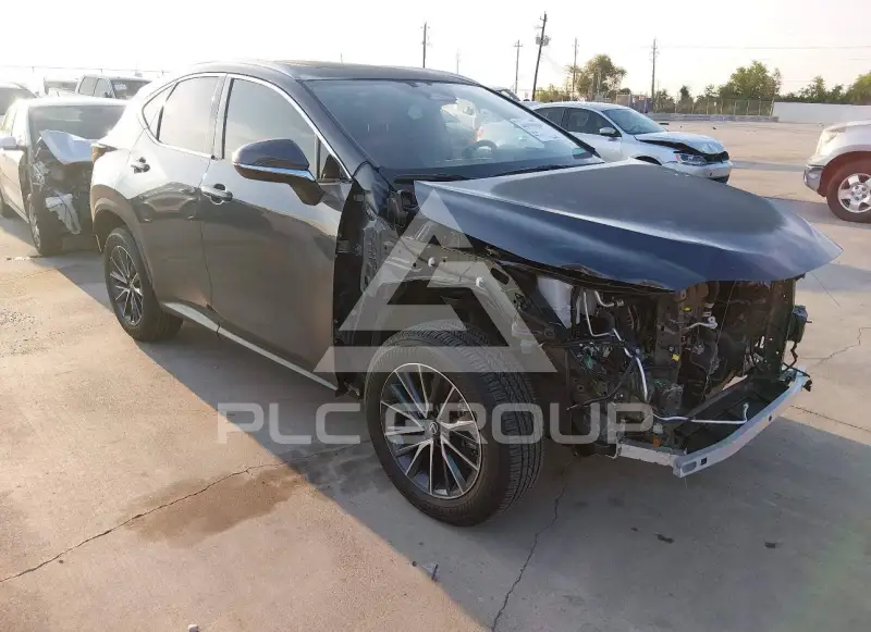 2026 Lexus NX250 photo