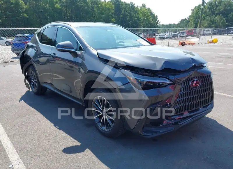 2026 Lexus NX250 photo