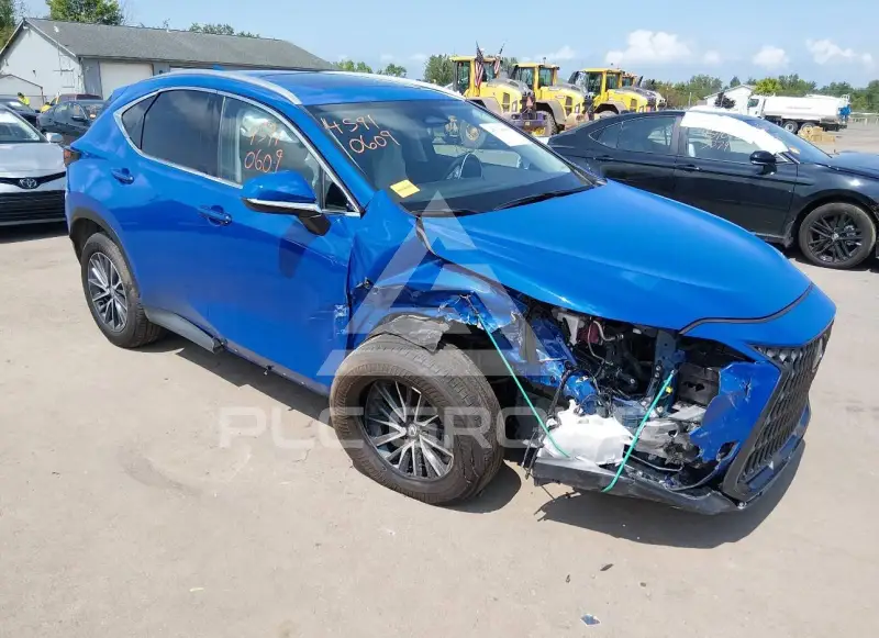 2026 Lexus NX250 фото