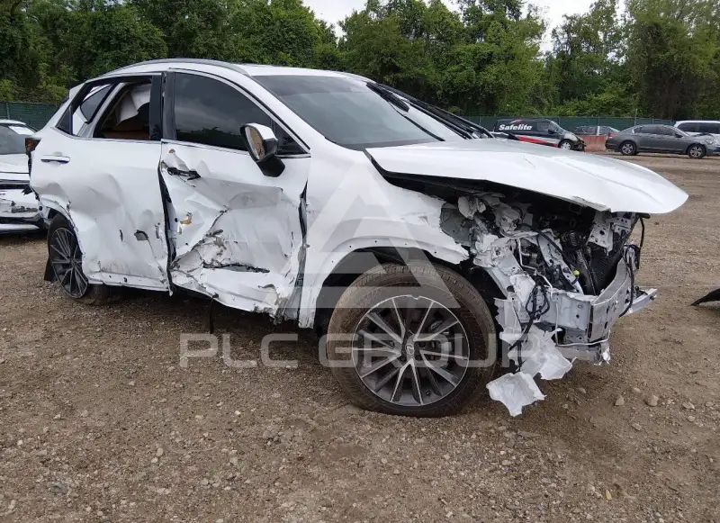 2026 Lexus NX250 фото