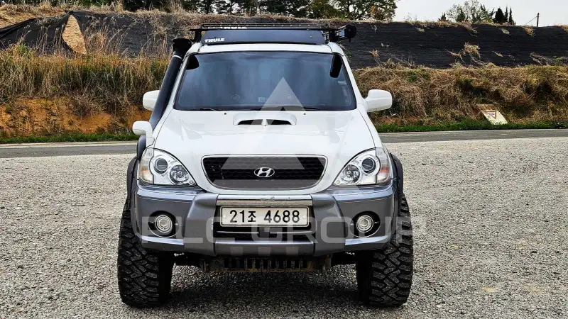 2004 Hyundai Terracan