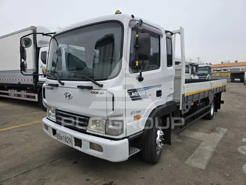 2005 Hyundai Mega truck