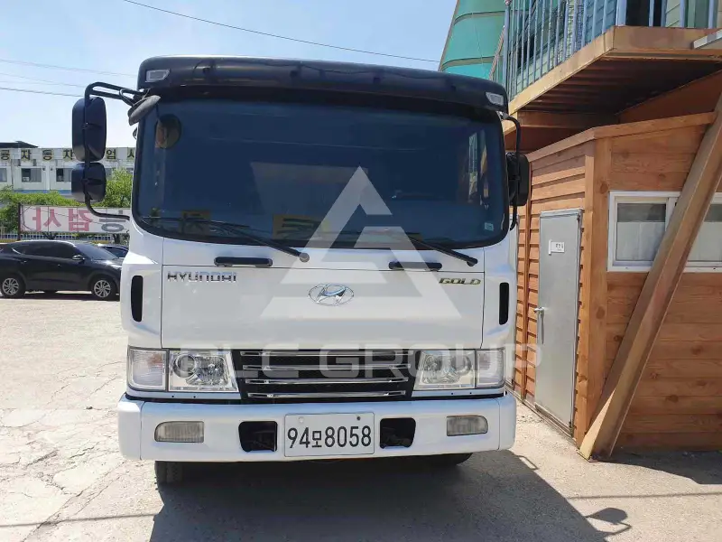 2005 Hyundai Mega truck