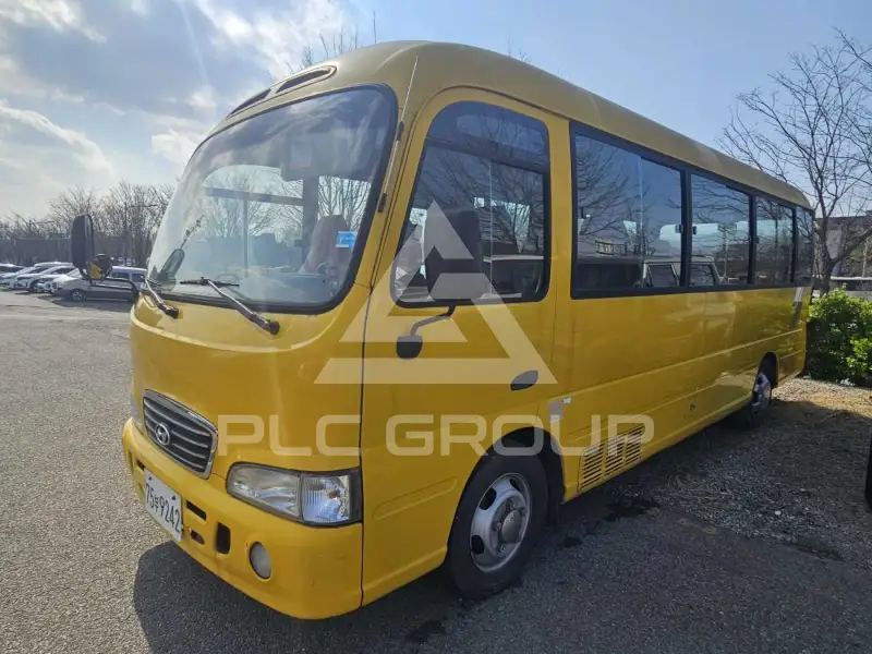 2006 Hyundai Country