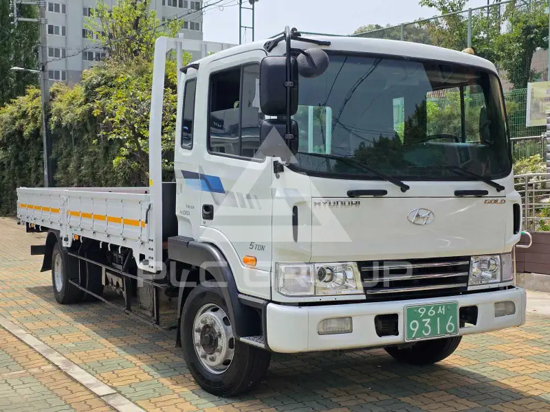 2006 Hyundai Mega truck