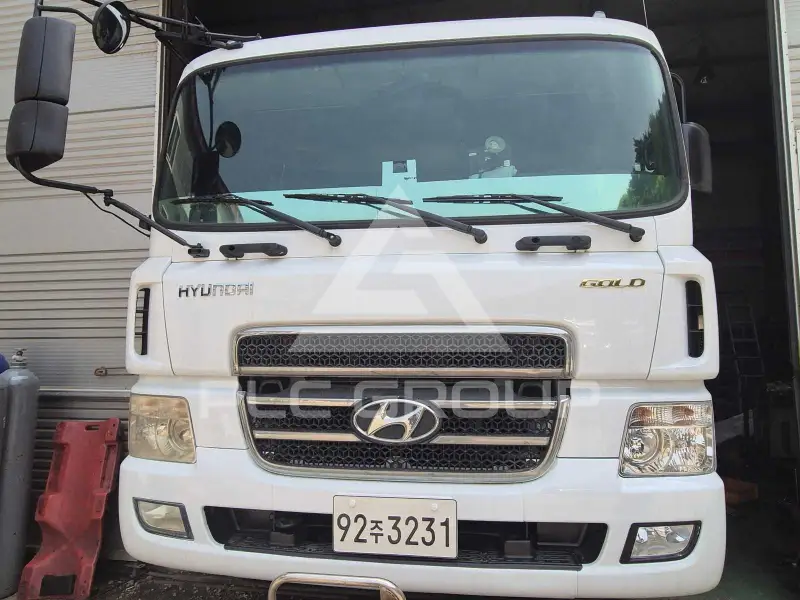 2006 Hyundai TRUCK