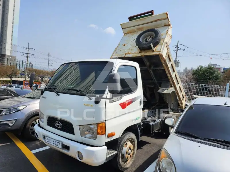 2007 Hyundai Mighty