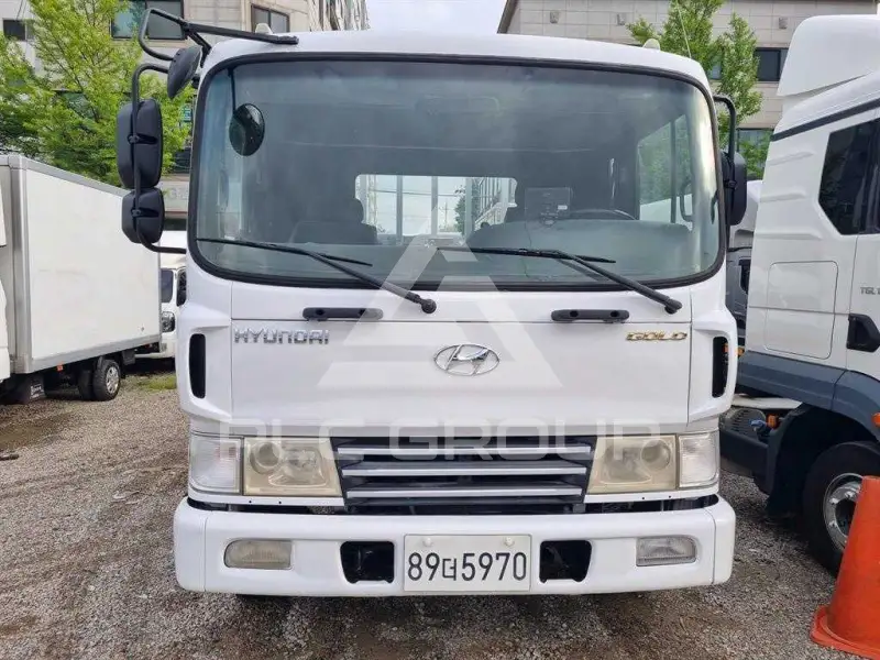 2007 Hyundai Mega truck