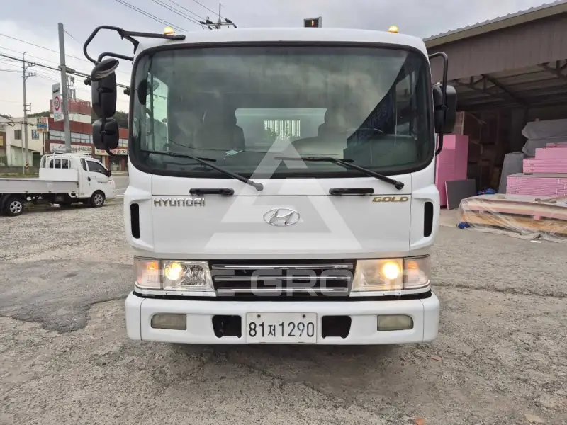 2007 Hyundai Mega truck
