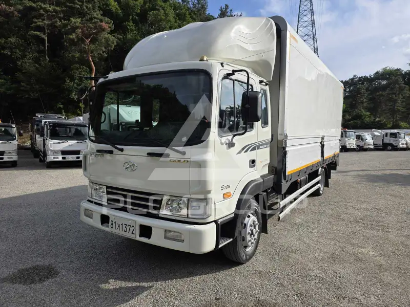 2007 Hyundai Mega truck