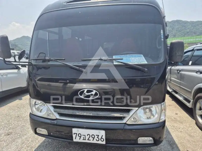 2008 Hyundai Country