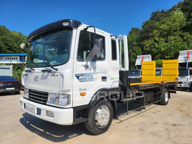 2008 Hyundai Mega truck