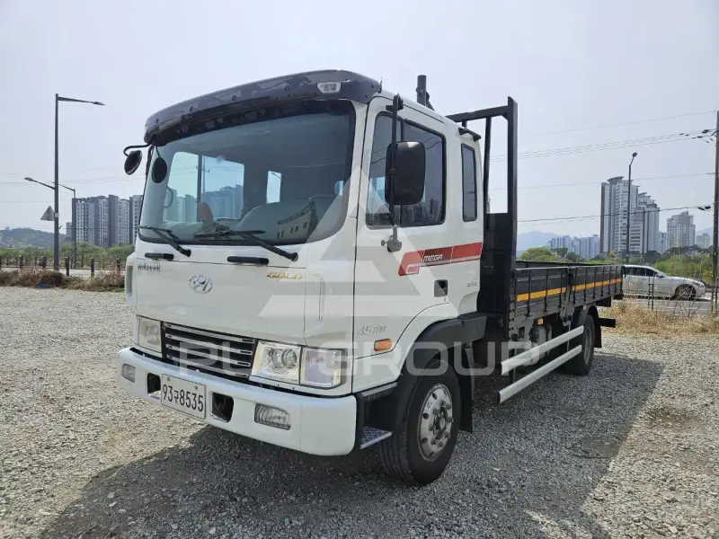 2008 Hyundai Mega truck