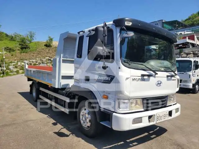 2008 Hyundai Mega truck