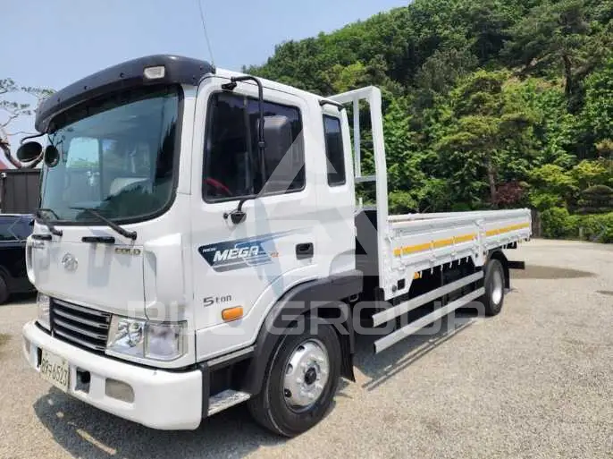 2008 Hyundai Mega truck