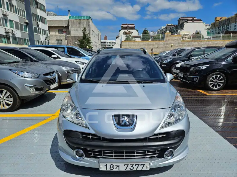 2008 Peugeot 207