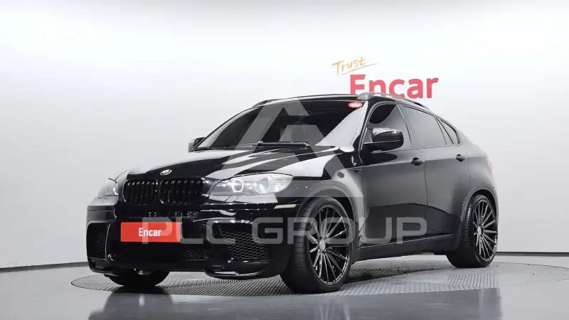 2009 BMW X6