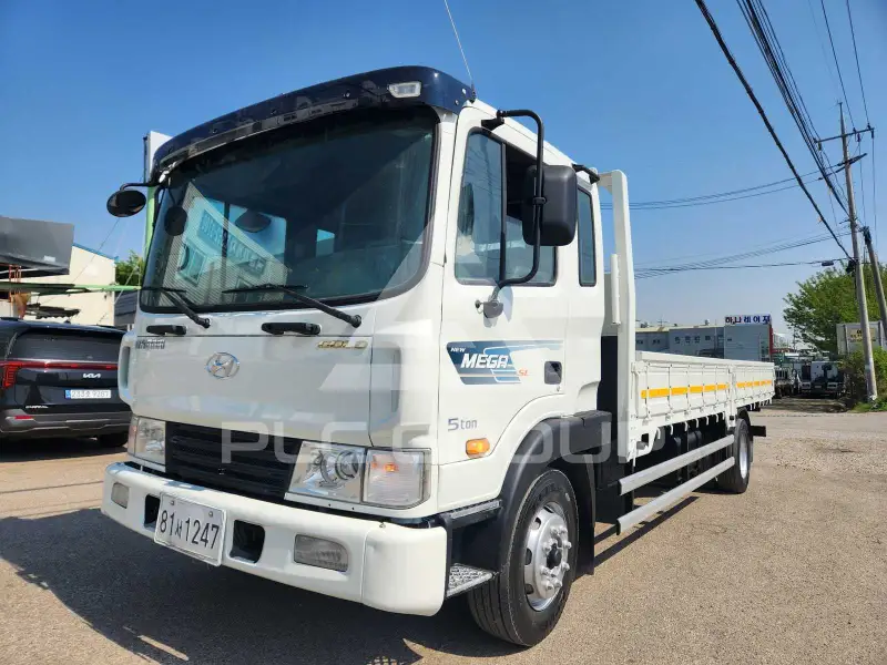 2009 Hyundai Mega truck