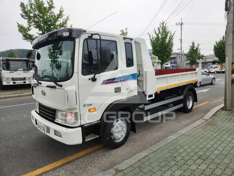 2009 Hyundai Mega truck