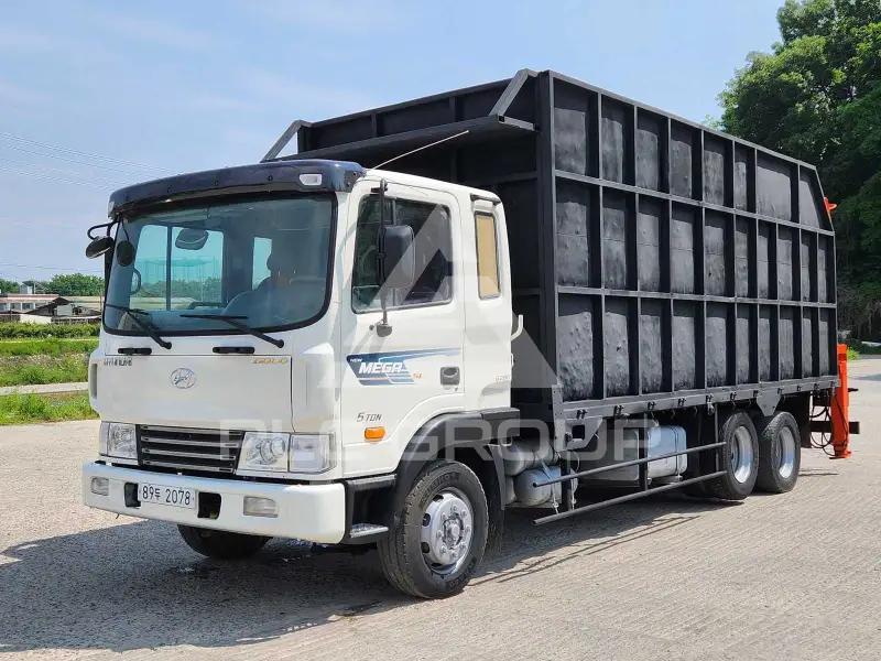 2009 Hyundai Mega truck