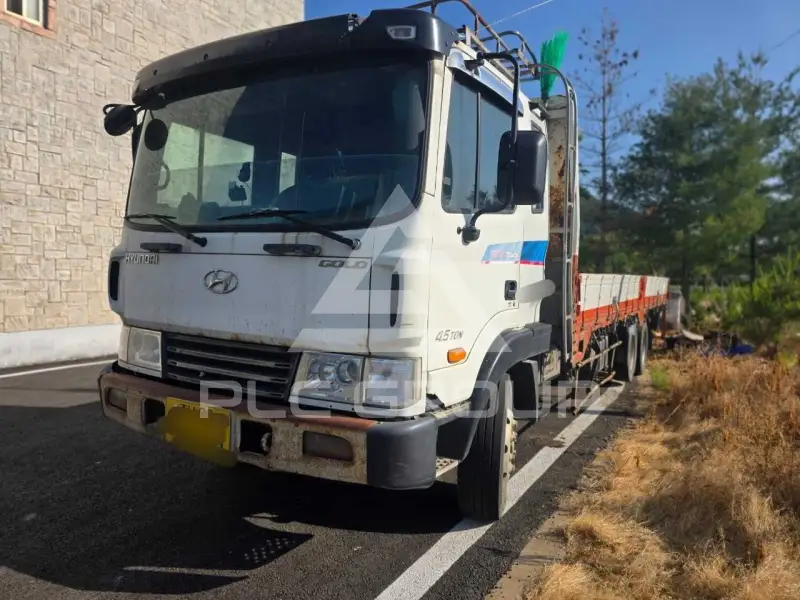 2009 Hyundai Mega truck