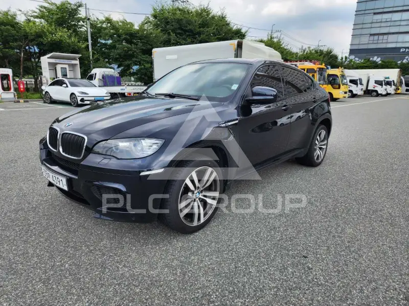 2010 BMW X6M