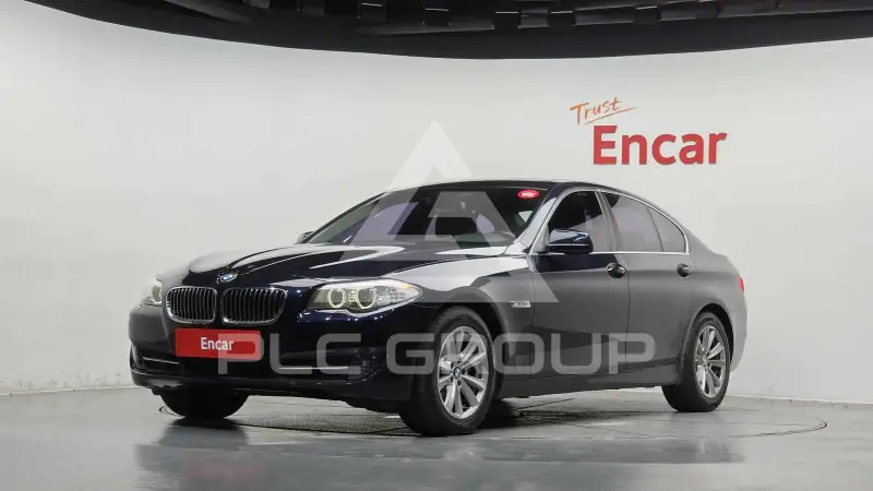 2010 BMW 520
