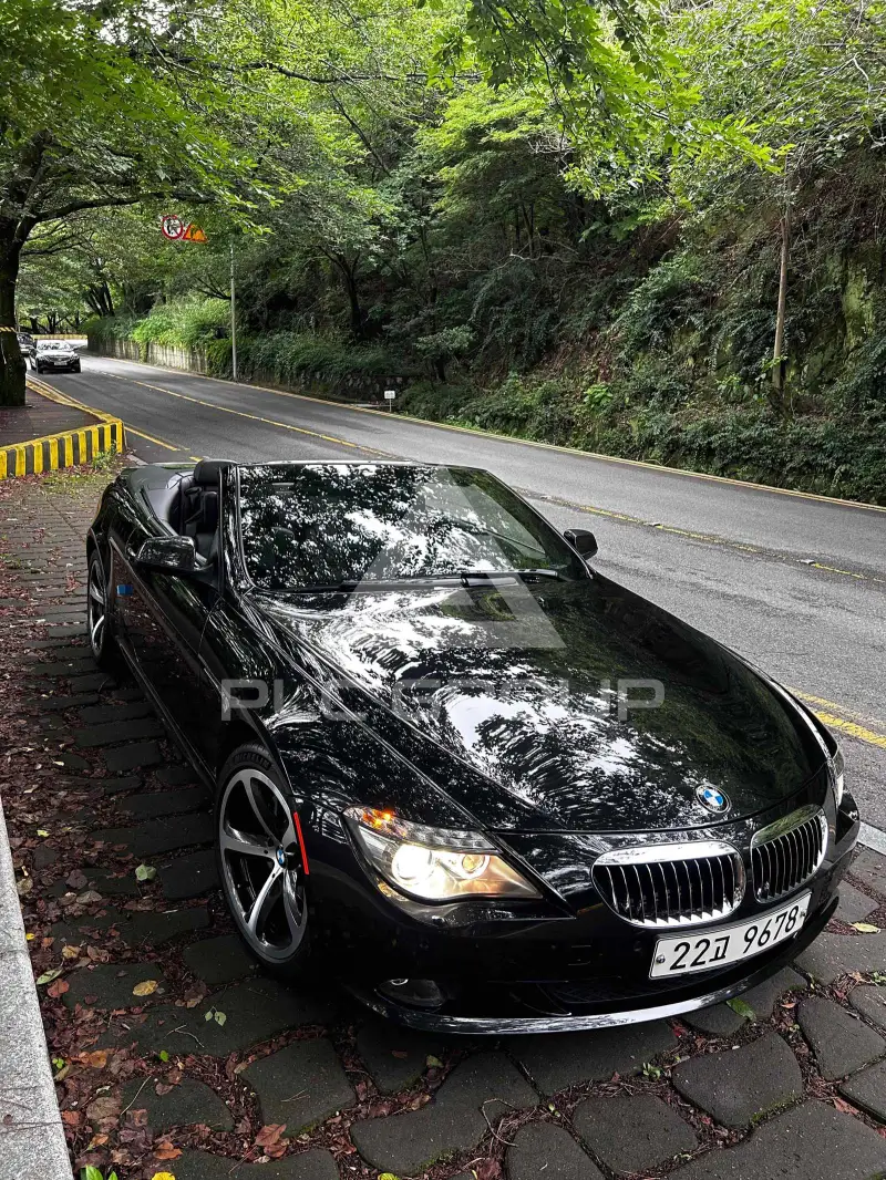 2010 BMW 650