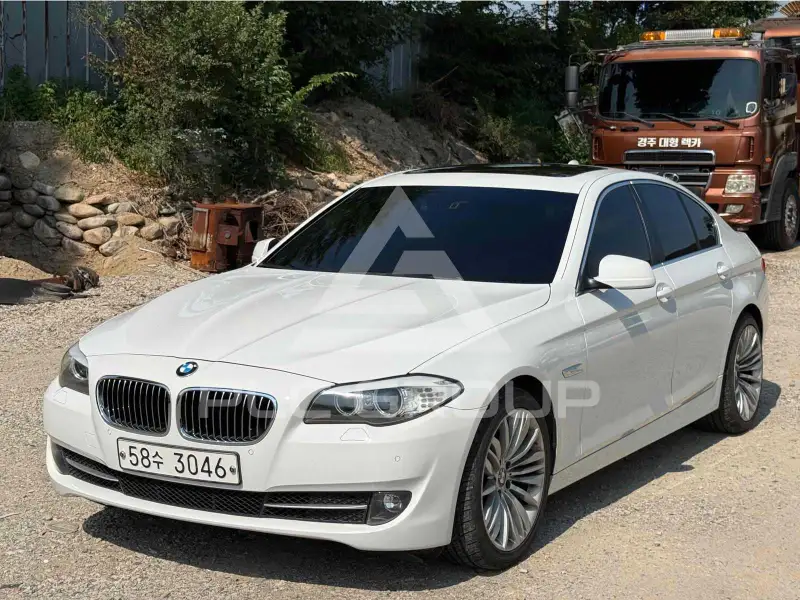 2010 BMW 520