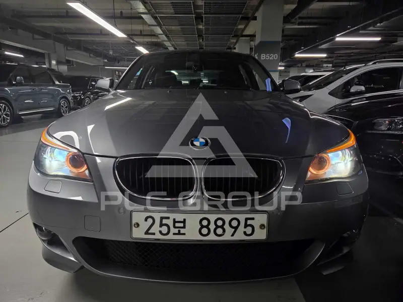 2010 BMW 520